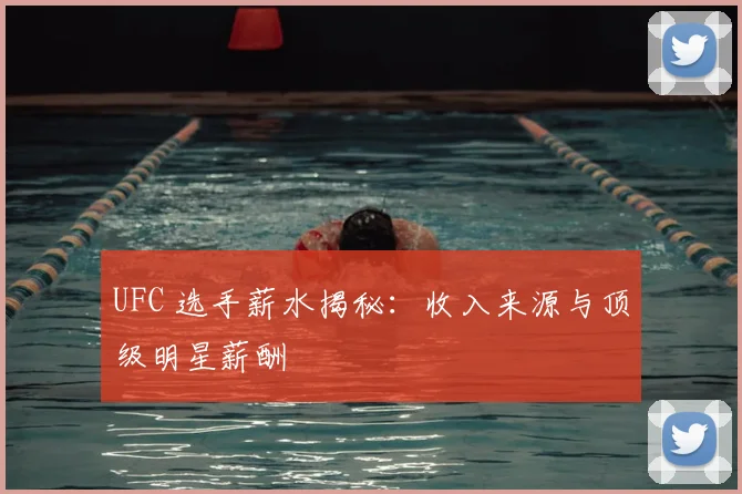 UFC 选手薪水揭秘：收入来源与顶级明星薪酬