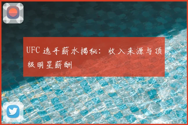 UFC 选手薪水揭秘:收入来源与顶级明星薪酬